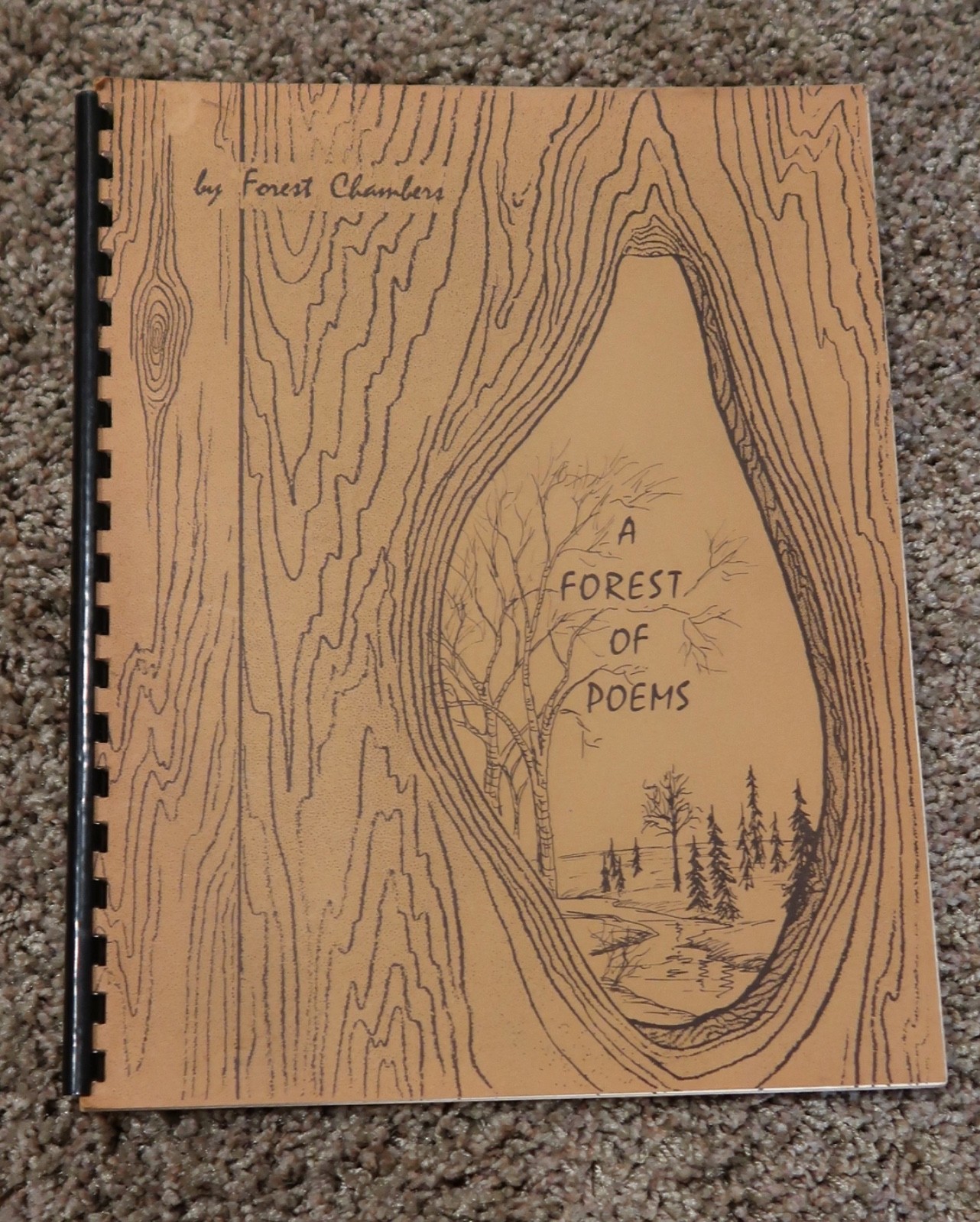 A Forest of Poems by Chambers 🔴 spiral bound book illustrated Vintage 1970