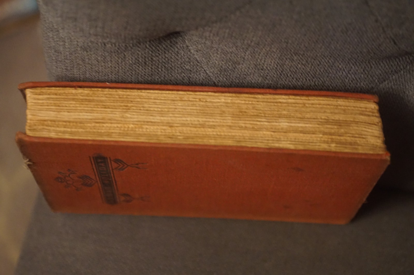 ROMAN HOLIDAY Upton Sinclair 1931 1st Edition Farrar & Rinehart HC
