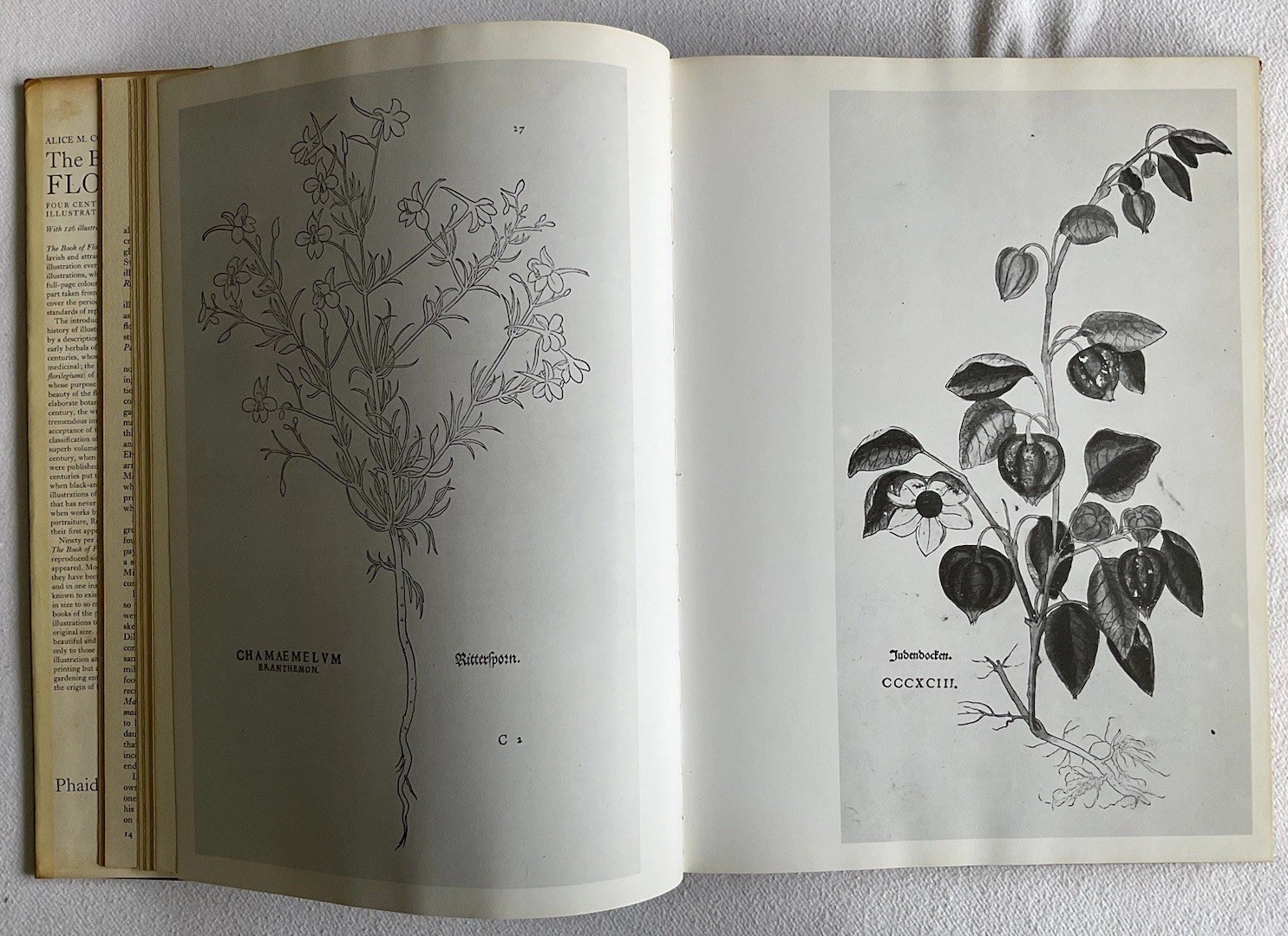 Collectable Vintage The Book of Flowers by Alice M. Coats. Large H/B Book, 1973