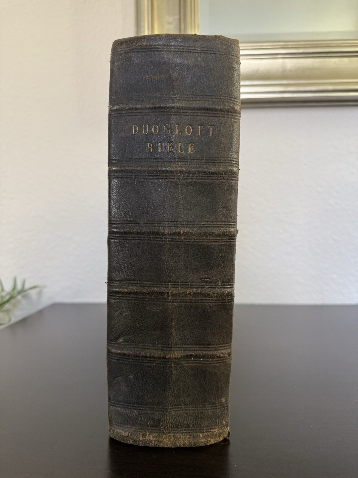 Welsh-English Duoglott King James Bible, Mid-1800s