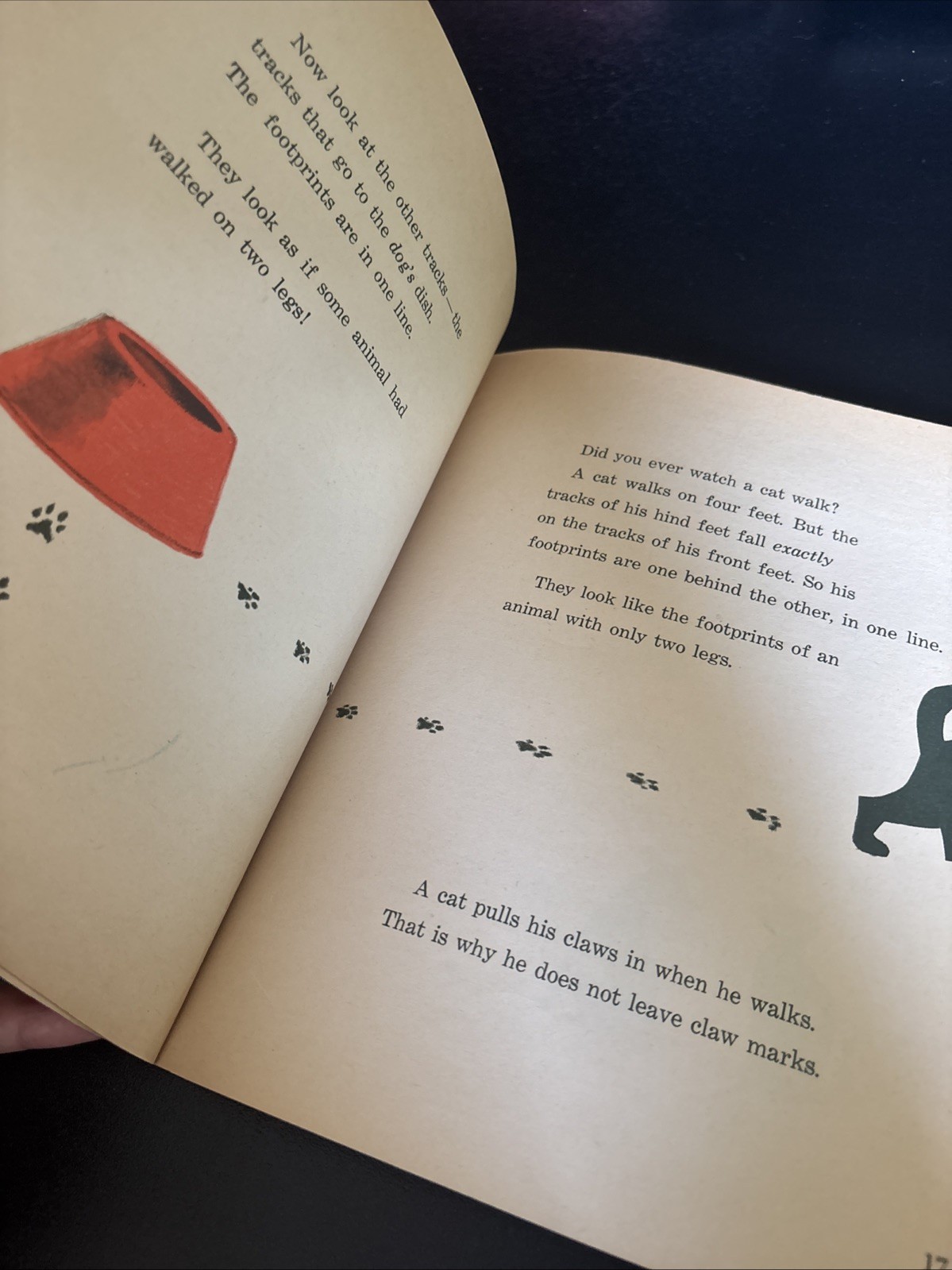 Vintage Children’s Book HOW TO BE A NATURE DETECTIVE Millicent Selsam