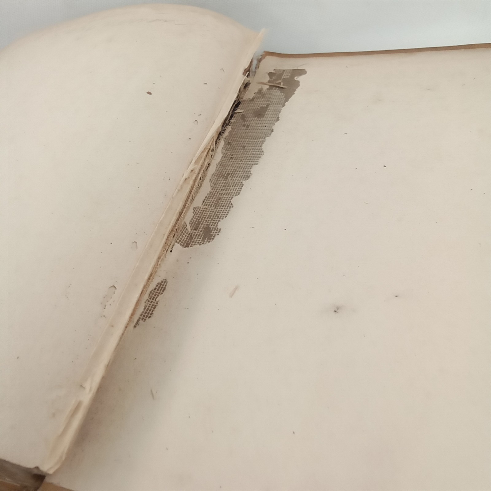 Antique Hardcover Book Loyal Blue And Royal Scarlet Marion Ames Taggart 1898