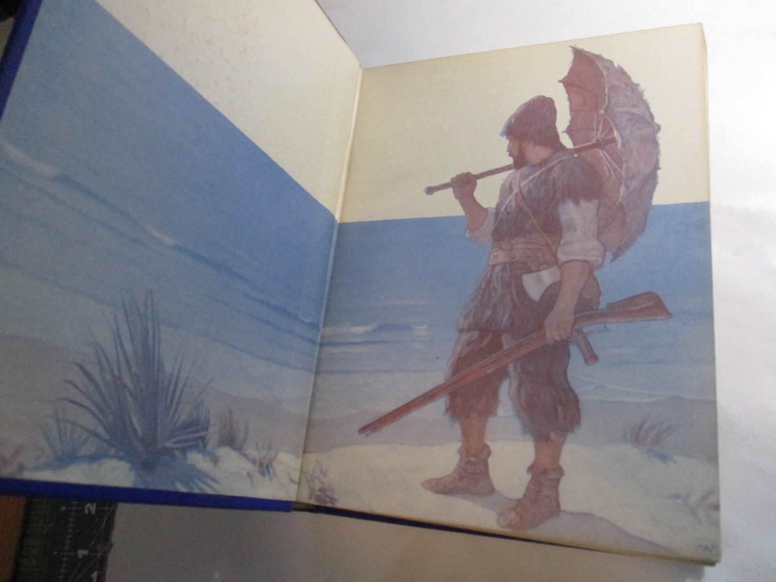 Robinson Crusoe, Daniel Defoe, N.C. Wyeth, Cosmopolitan Edition, 1920