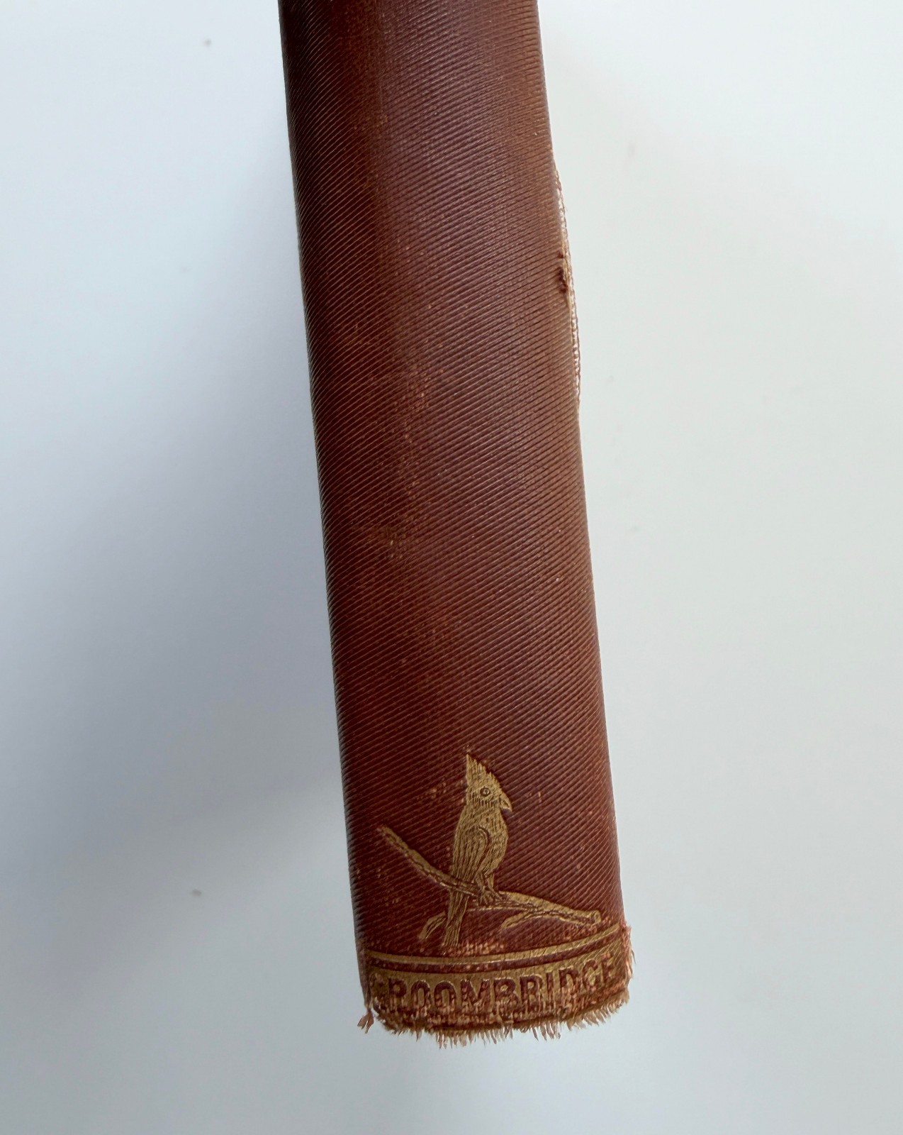 Robinson Crusoe Daniel De Foe 1800s Antique Book