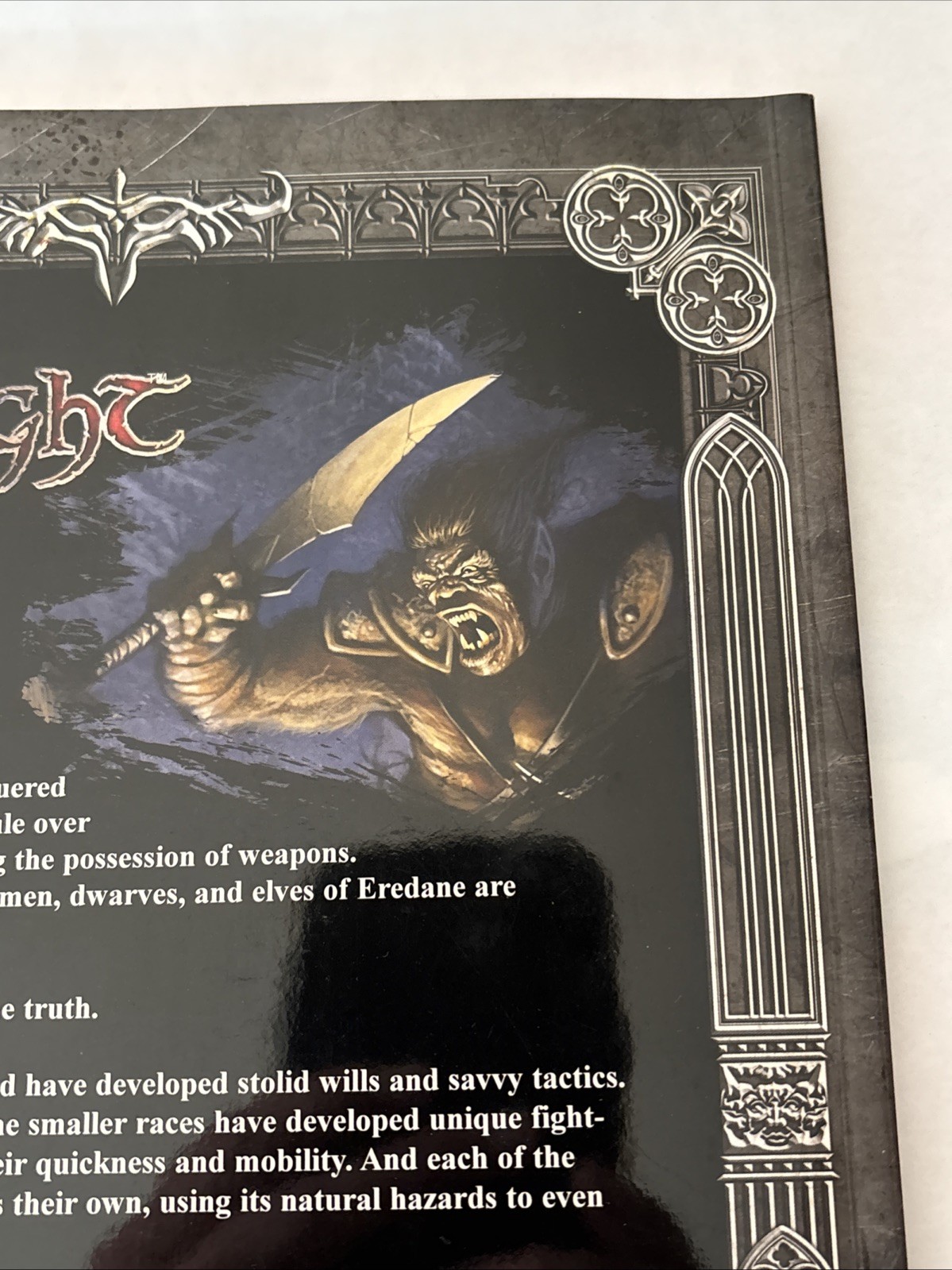 Midnight Steel and Shadow MN10 Softcover d20 Fantasy Flight rpg mn 10 d&d