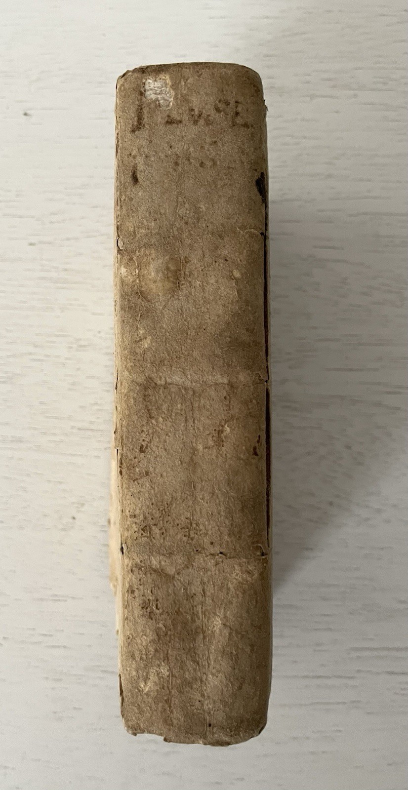 Rare 1608 Antique Book: Le Muse Sacre – Pietro Petracci – 17th Century Treasure