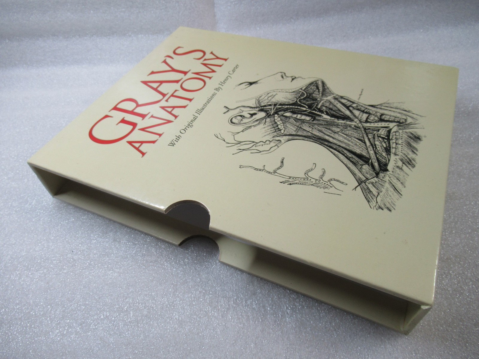 Gray’s Anatomy – Henry Carter Illustrated HB in Slipcase – Arcturus Edition 2014