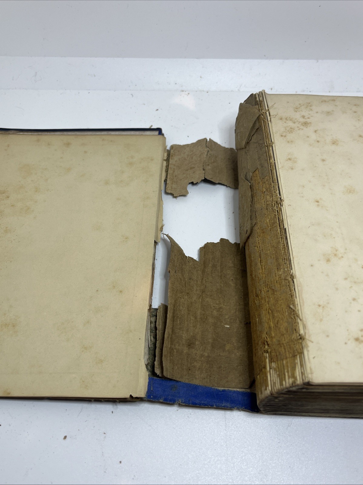 The Poetical Works of S.T. Coleridge Chandos Poets Frederick Warne & Co Undated