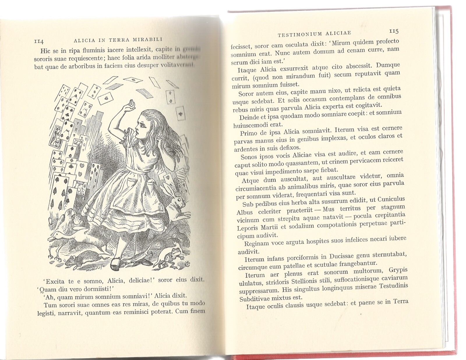 ALICIA IN TERRA MIRABILI / LUDOVICI CARROLL ALICE IN WONDERLAND WRITTEN IN LATIN