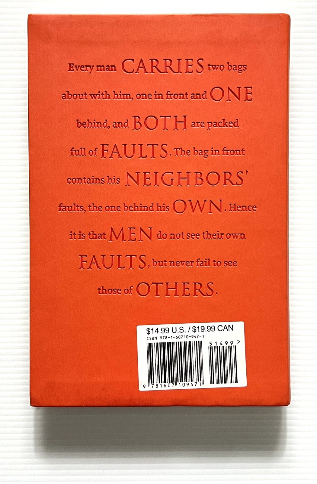 Aesop’s Fables Illustrated by Rackham Word Cloud Classics Faux Leather 2013