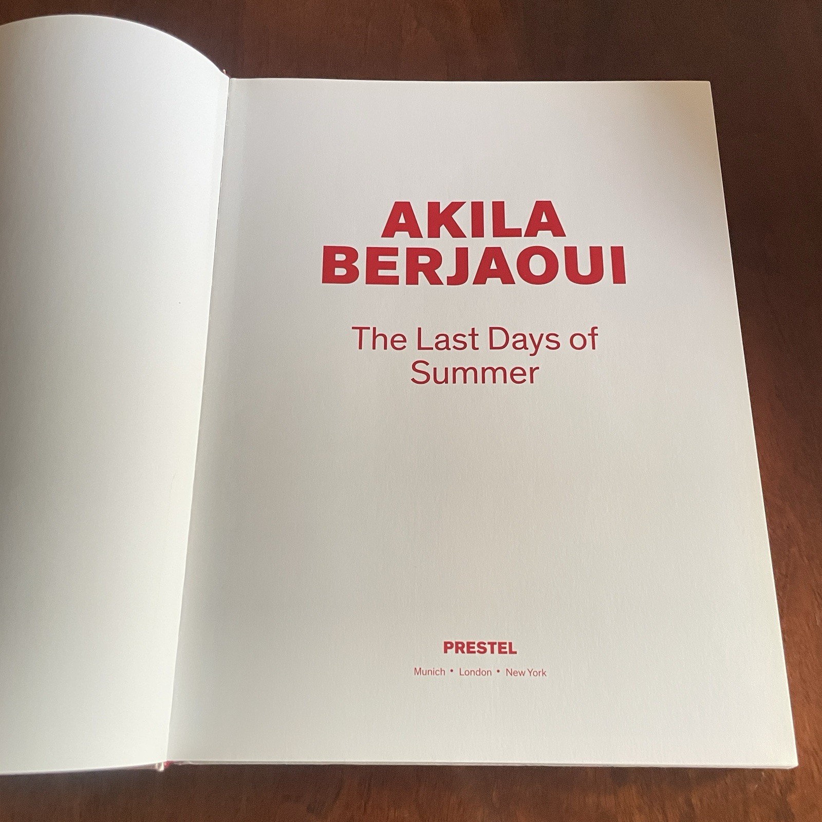 AKILA BERJAOUI The Last Days Summer ( Purienne Zen Holiday)