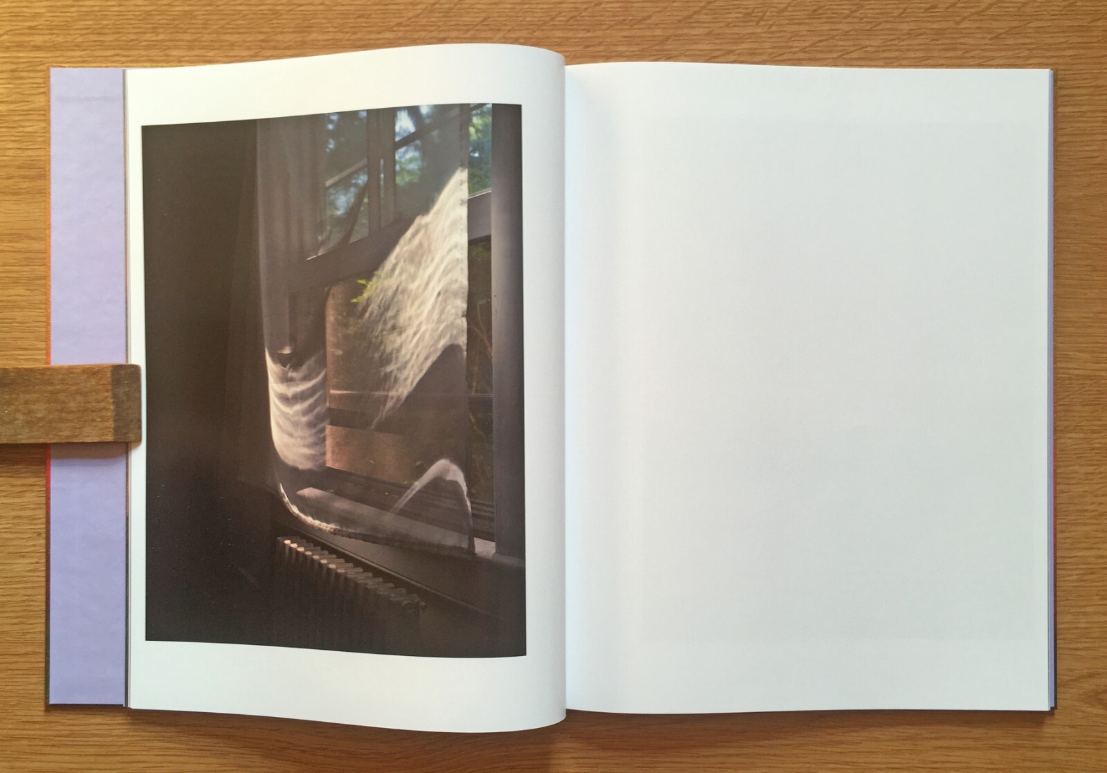 Paul Graham, Verdigris/Ambergris, SIGNED 1st edition, 2024, 2 vols, near-mint