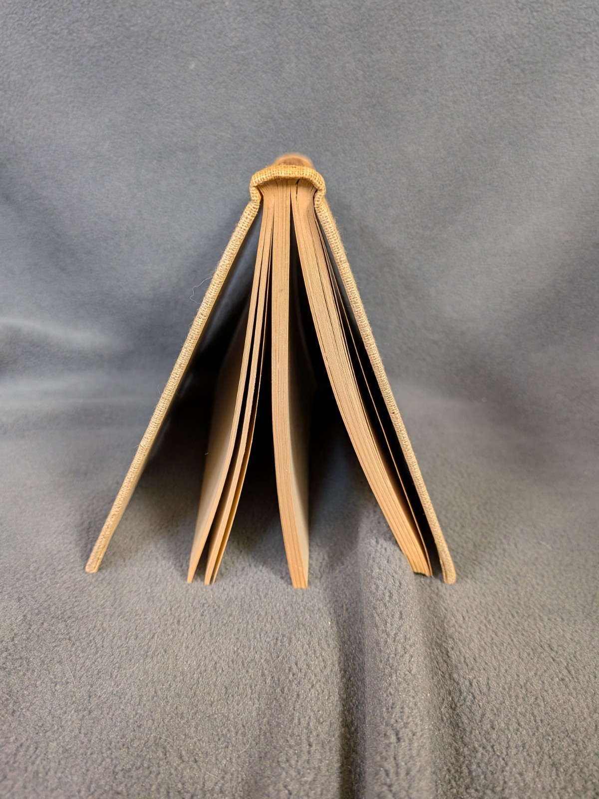 Saber-Tooth Curriculum by J. Abner Peddiwell McGraw-Hill ©1939 1st ed