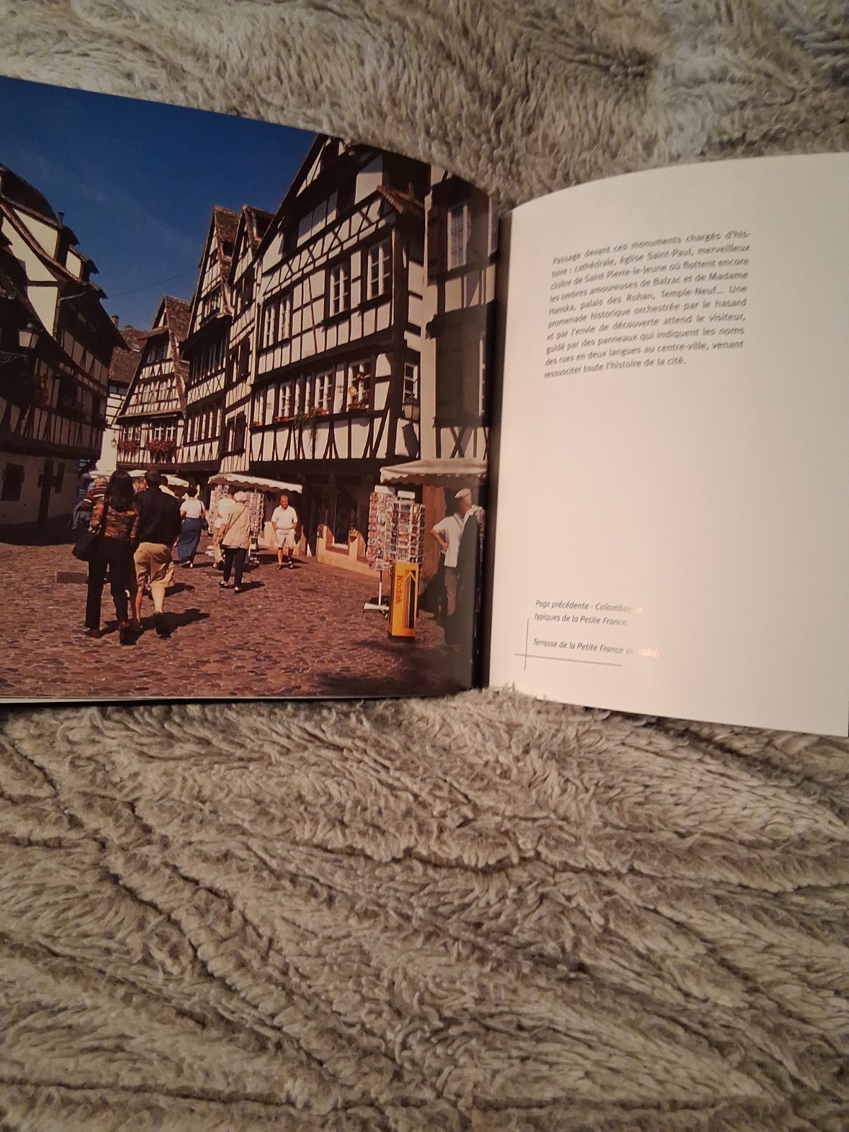 Strasbourg Pascale De Srebnicki Collection Tranches De Ville Hardcover Book