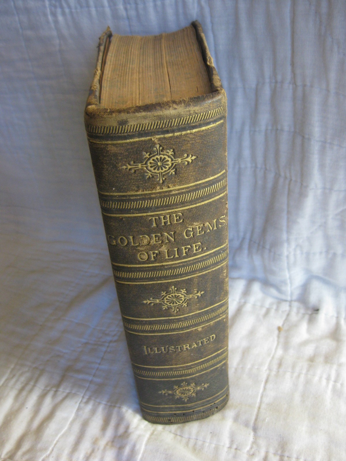 ANTIQUE GOLDEN GEMS OF LIFE BOOK 1884 LEATHER BINDING ILLUSTRATED ETIQUETTE OLD