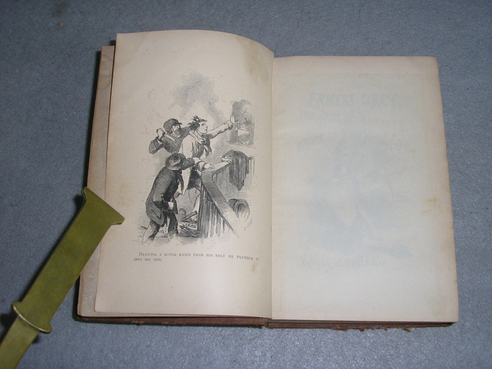 Antique NYC Book New York Life Ernest Grey Sins of Society Gangs of NY Era 1855