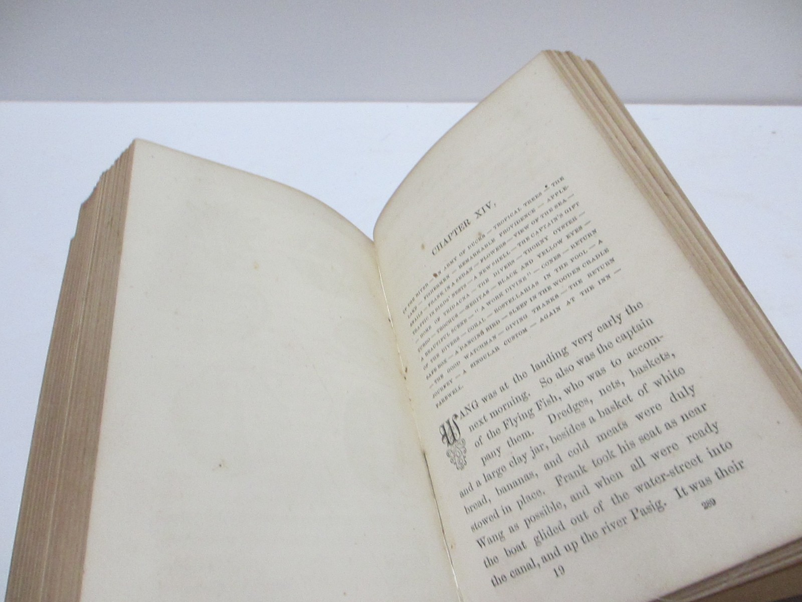 RARE 1866 ANTIQUE BOOK SEA SHELLS FRANK’S SEARCH FOR CONCHOLOGY STUDY ENG PLATES