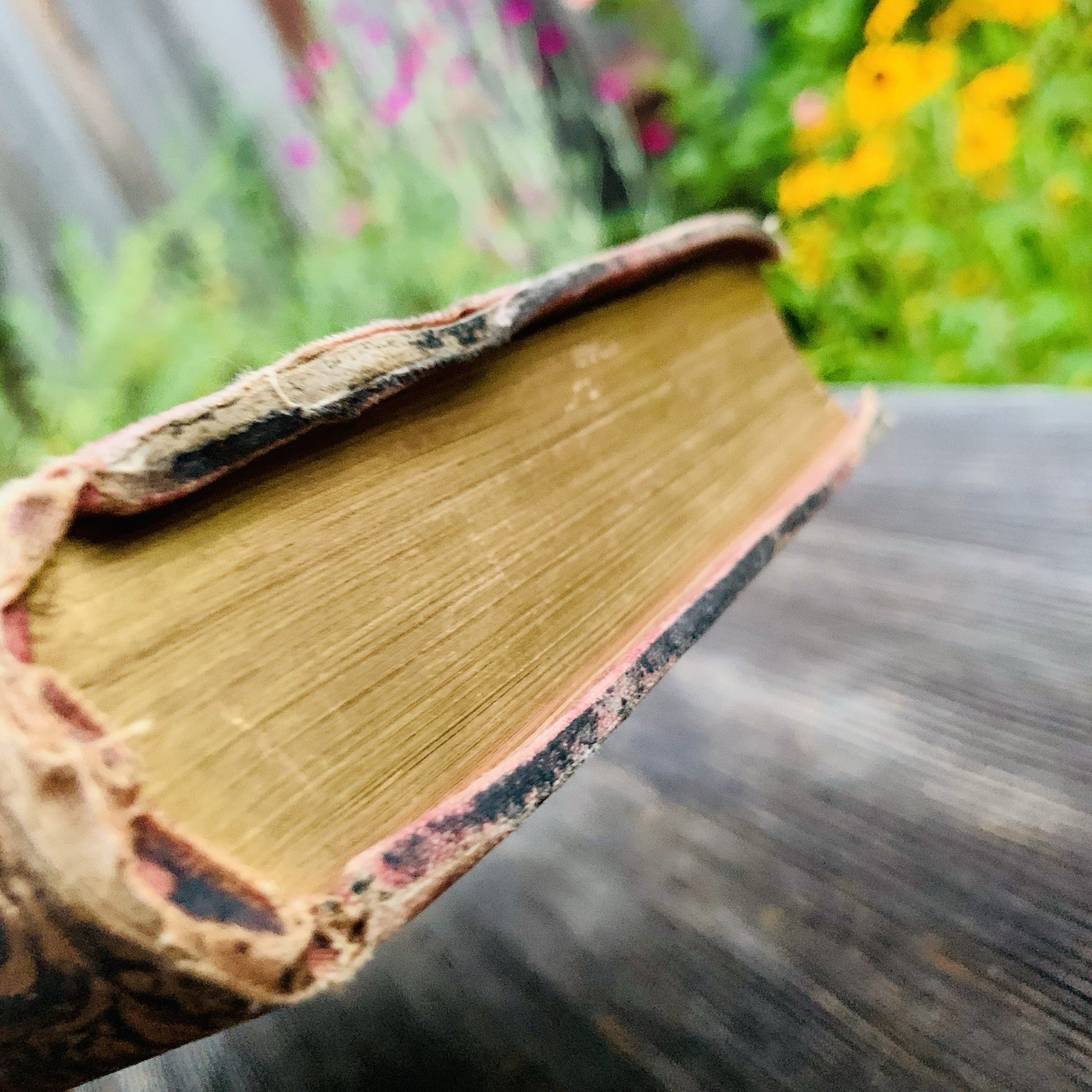 1886 The Poetical Works of John Milton Fine Decorative Binding Gilt Edges READ