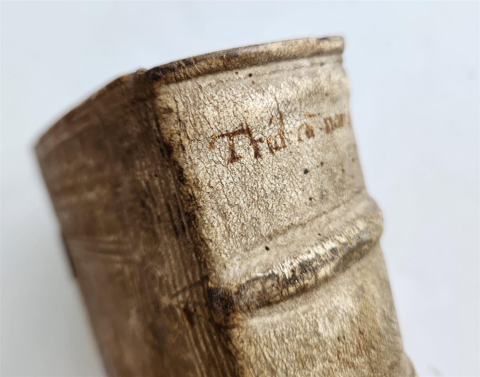 1664 COUNCIL OF TRENT antique decorative PIGSKIN over WOOD BINDING w/ CLASPS