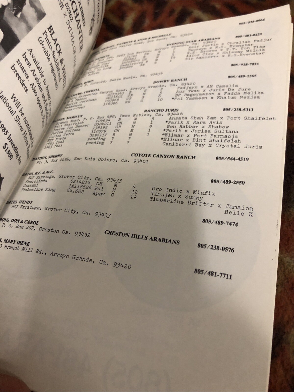 Arabian Horse Association 1985 Membership Directory Vintage Central Coast Of CA