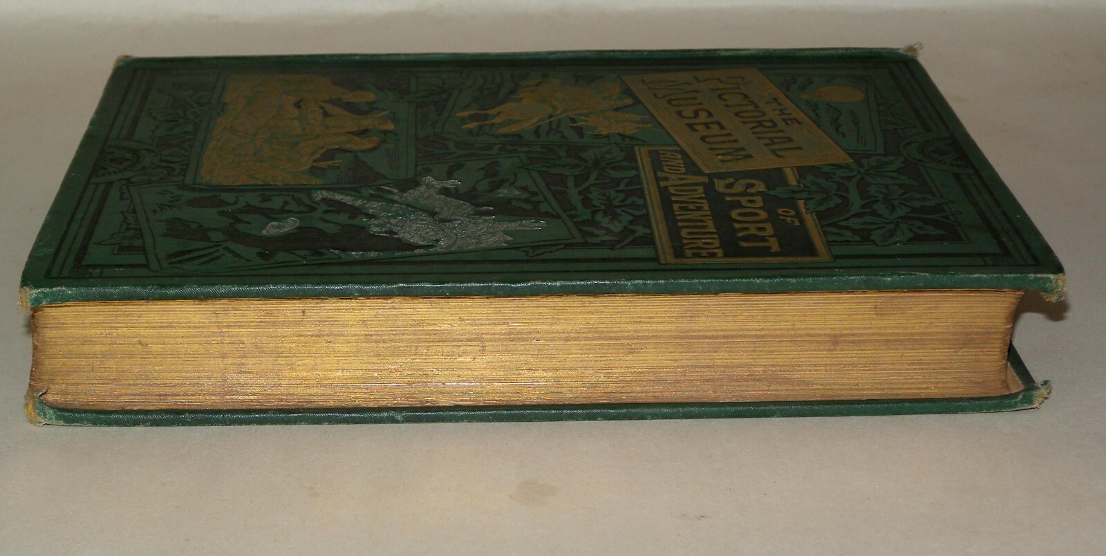 The Pictorial Museum Of Sport & Adventure: Hardback, Illustrated Frederick Warne