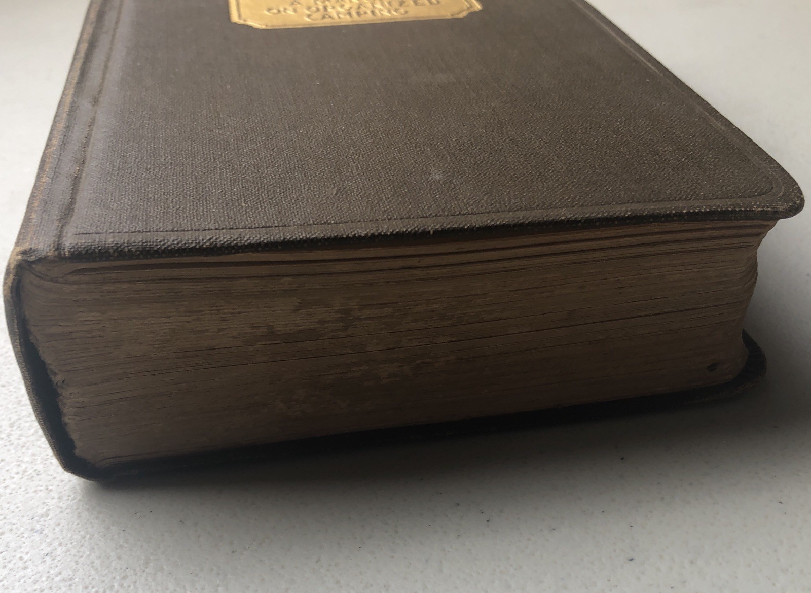 Antique 1924 1925 Camping Out A Manual On Organized Camping Macmillan