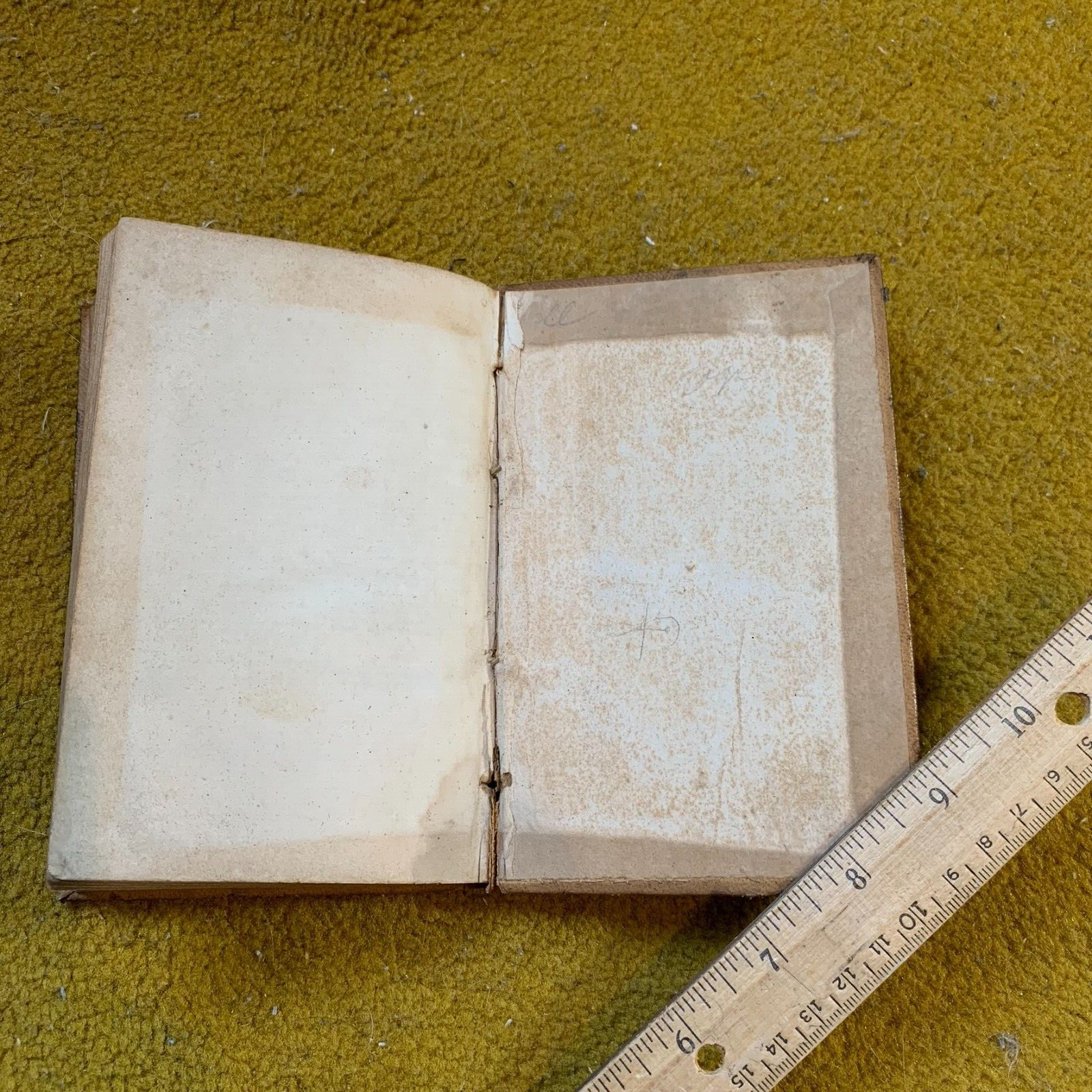 Epitome Historiae Sacrae Auctore L’Homond 1840 1839 Ironside Latin Christian