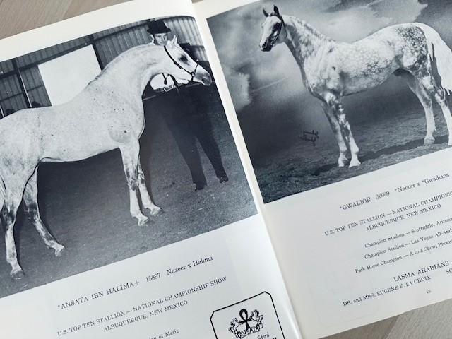 Arabian Horse Yearbook 1967 IAHA Vol XV Arabian Horse Books / Memorabilia