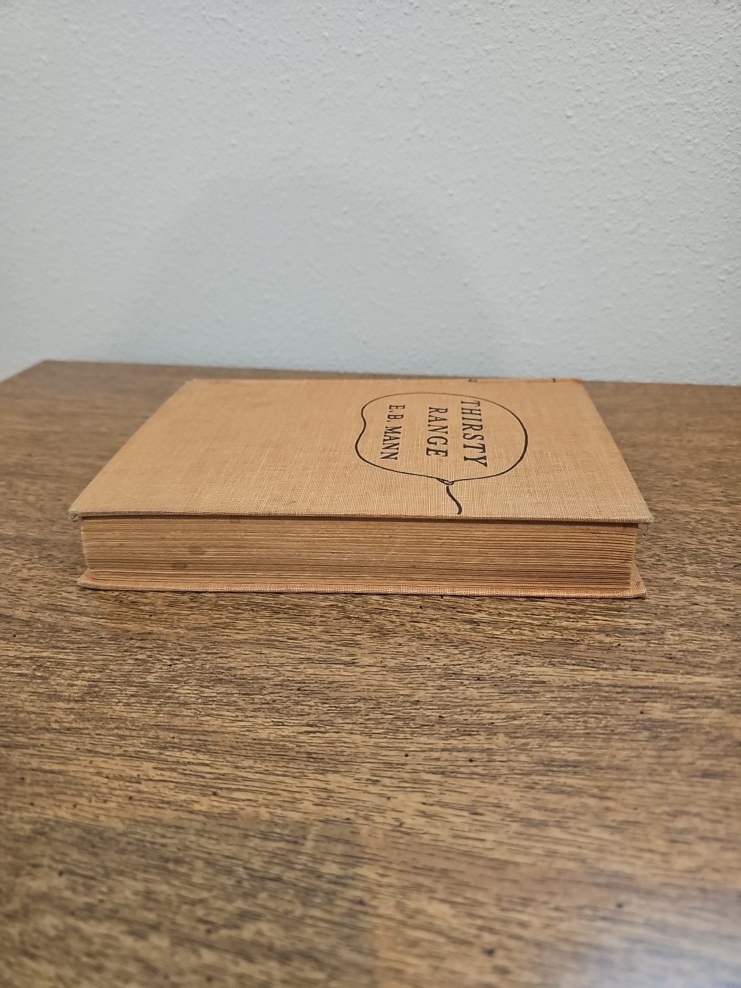 E.B. Mann Thirsty Range (1935) Vintage Western Triangle Books Hardcover Book