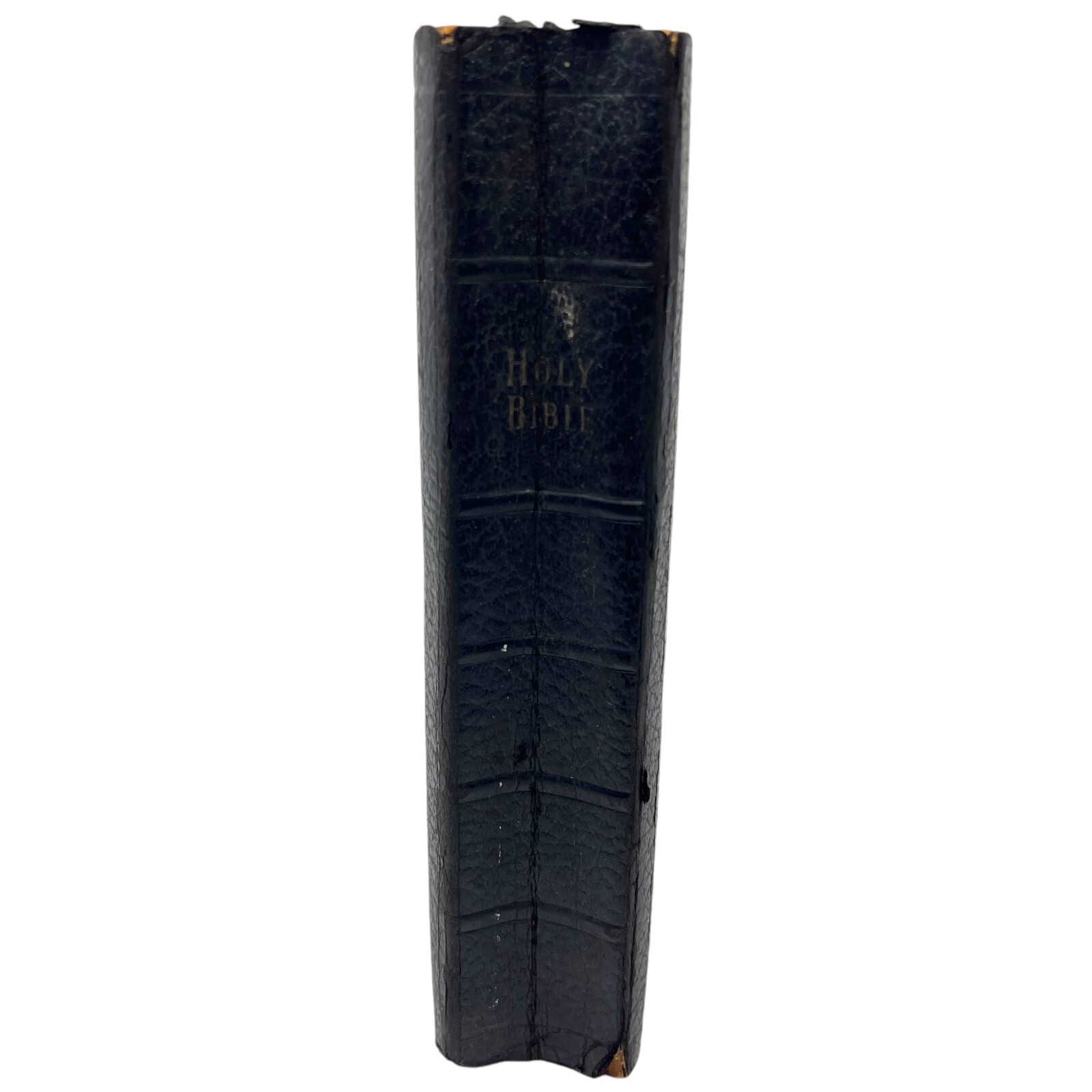 The Holy Bible Vintage 1960’s (Whitman Publishing Comp Racine, Wisconsin)