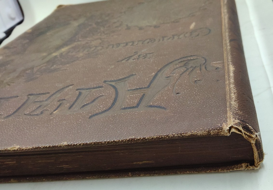 Atala by Chateaubriand 1884 Illustrated by Gustave Dore HC