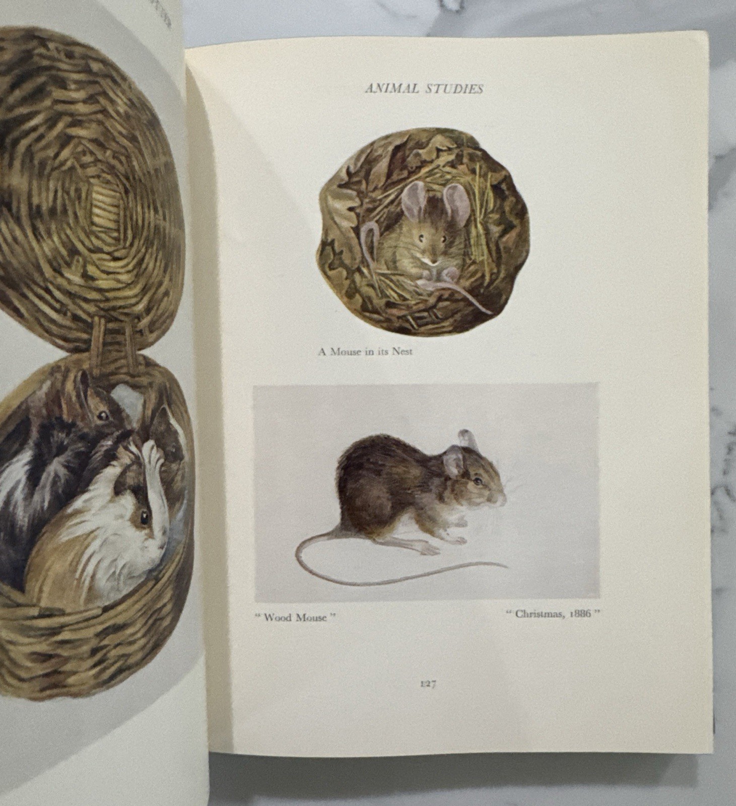 The Art of Beatrix Potter (Frederick Warne, Hardcover, Second Edition, 1956)