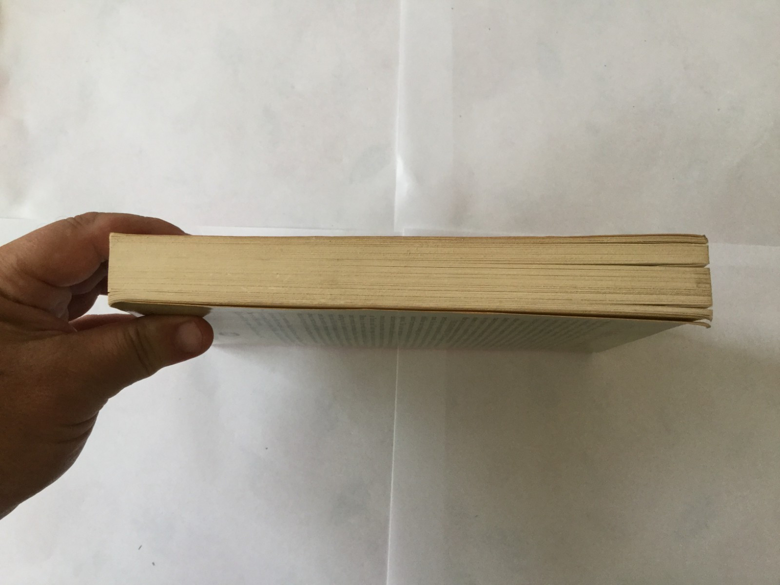 The Metaphysics of Sex 1983 1st US Edition, Strange Occultism Julius Evola Acc