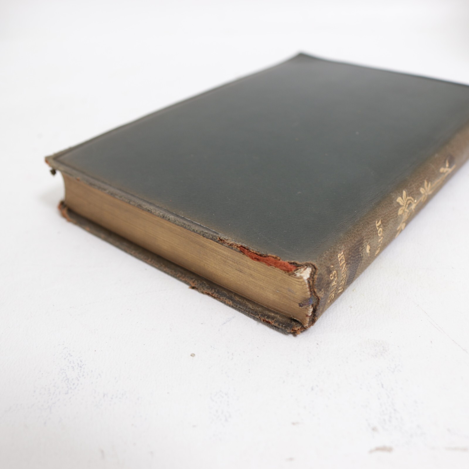 Nelson New Century Silas Mariner George Elliot Leather Bound Book Antique