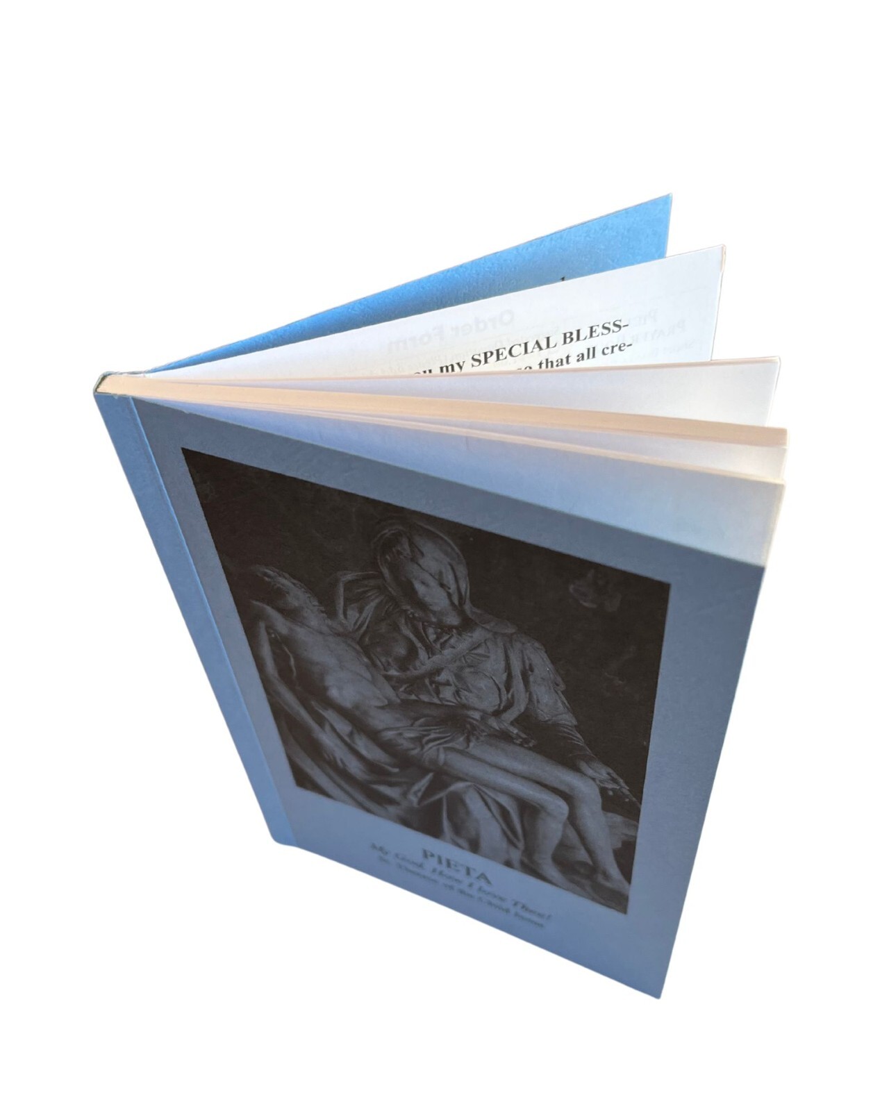 The Pieta Prayer Booklet – The 15 Saint Bridget Prayers