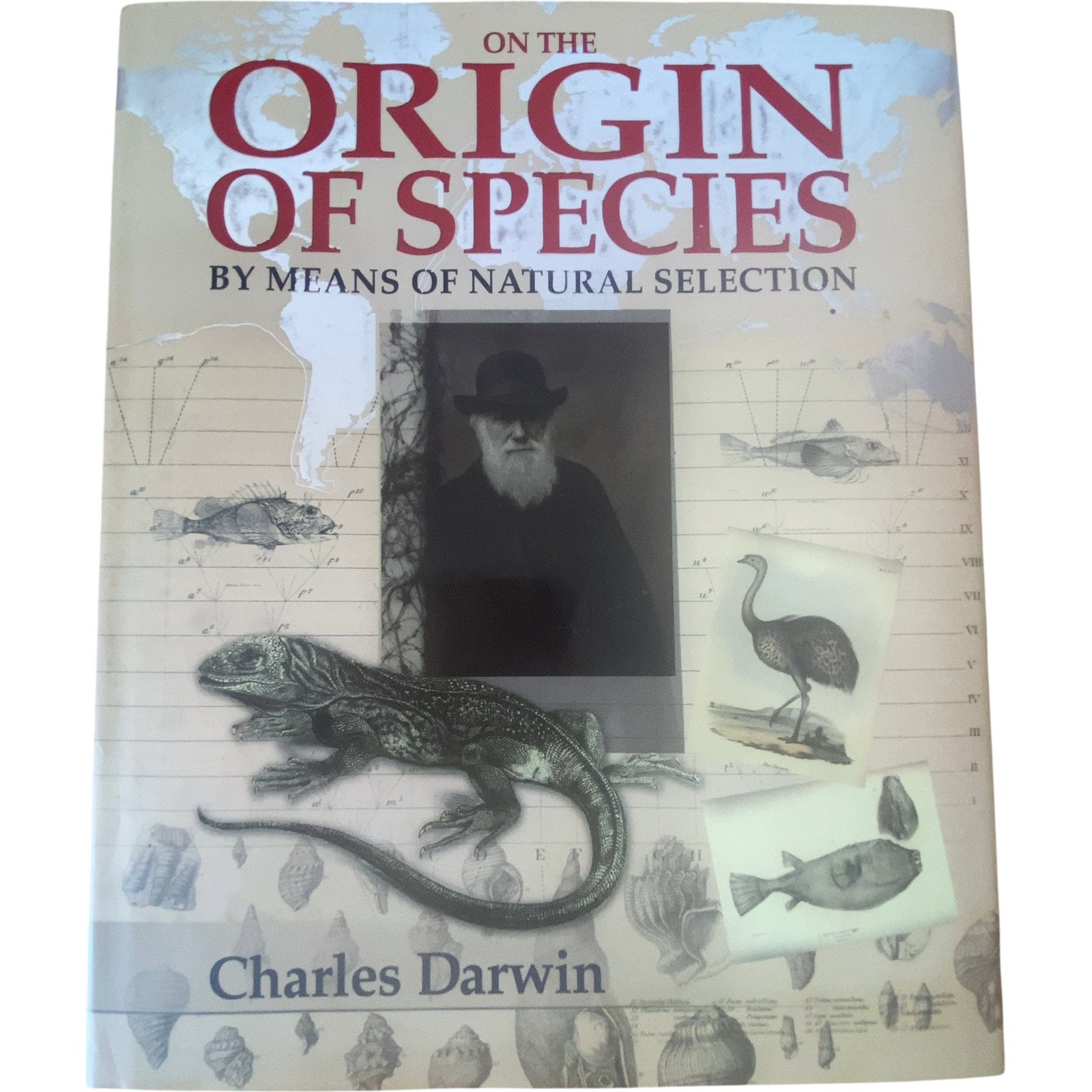 On The Origin Of Species Means Of Natural Selection Charles Darwin Illustrated