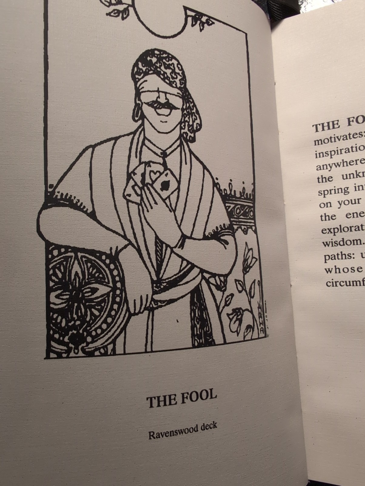 Rose, Carol Jean. The Tarot Gypsy Tales. 1997. Bound in black velvet cloth