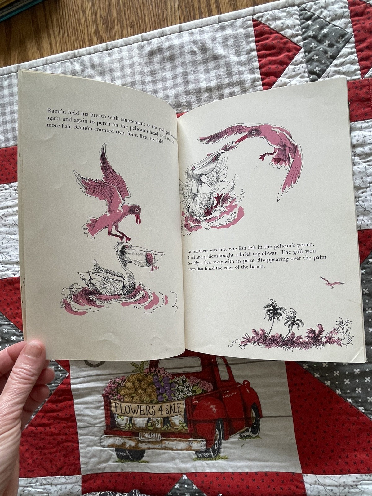 Ramon And The Pirate Gull, Puerto Rico, Robert Barry, Vintage HC Children’s