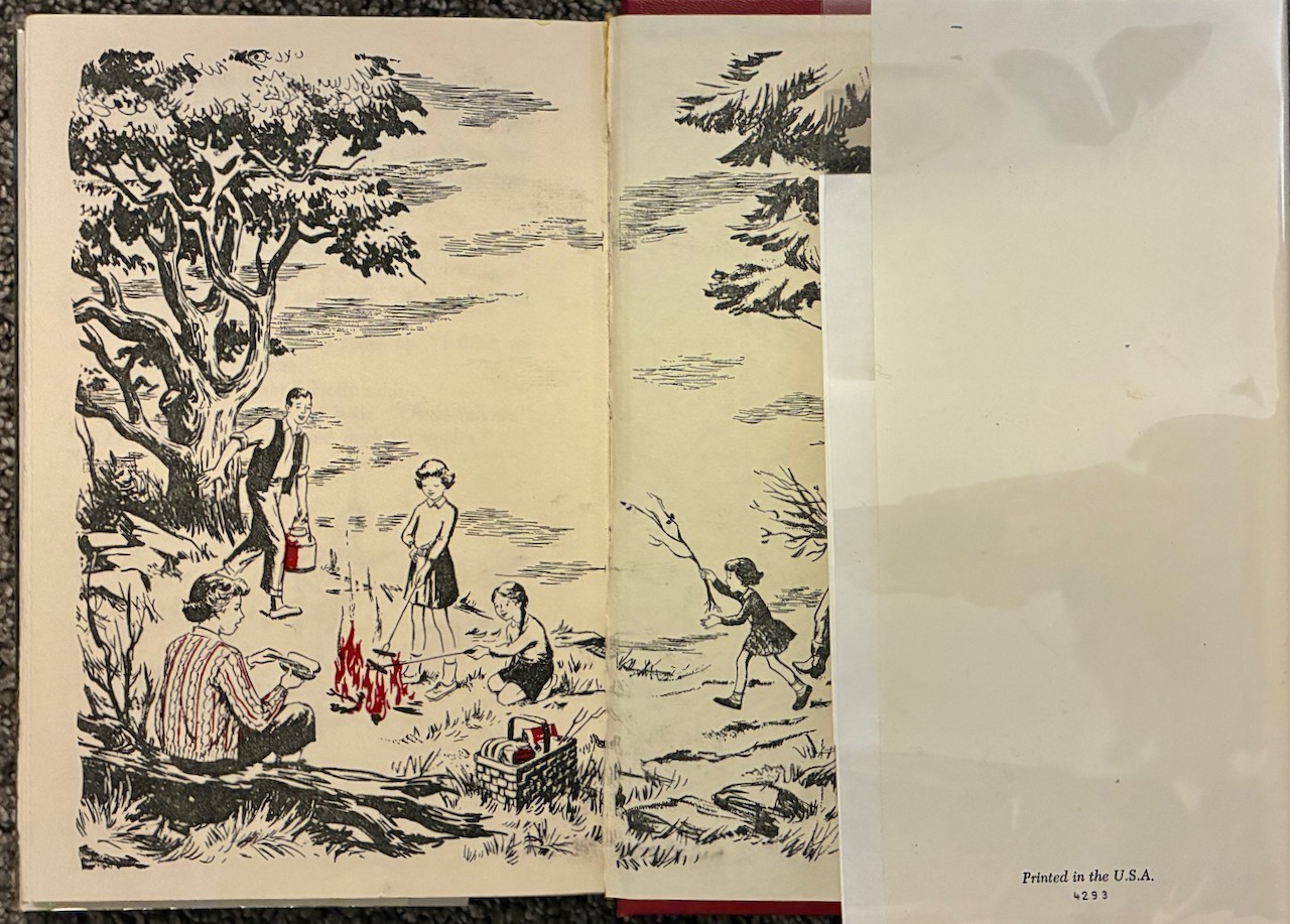 The Happy Hollisters Book Lot: Trading Post Old Clipper Ship Golden Witch HC VG+