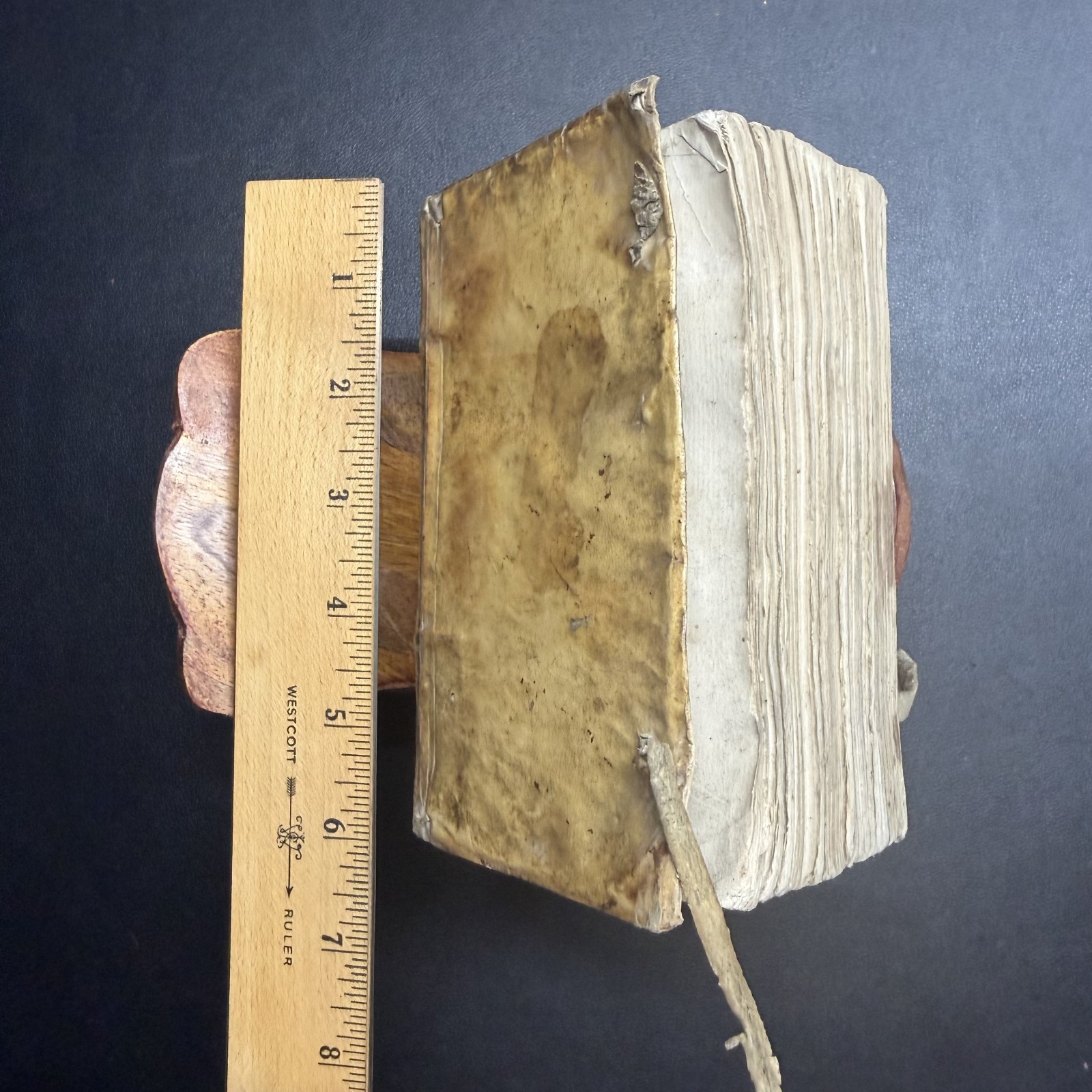 ✝️ 1625 Coeffeteau Magdeleine Penitence French Devotional Vellum Ex-Libris