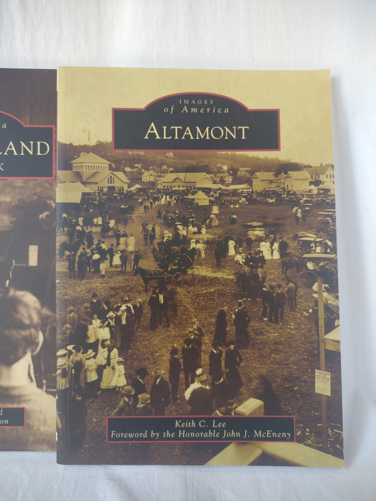 Lot of 3 Upstate New York History Books Guilderland Altamont Capital Region NY