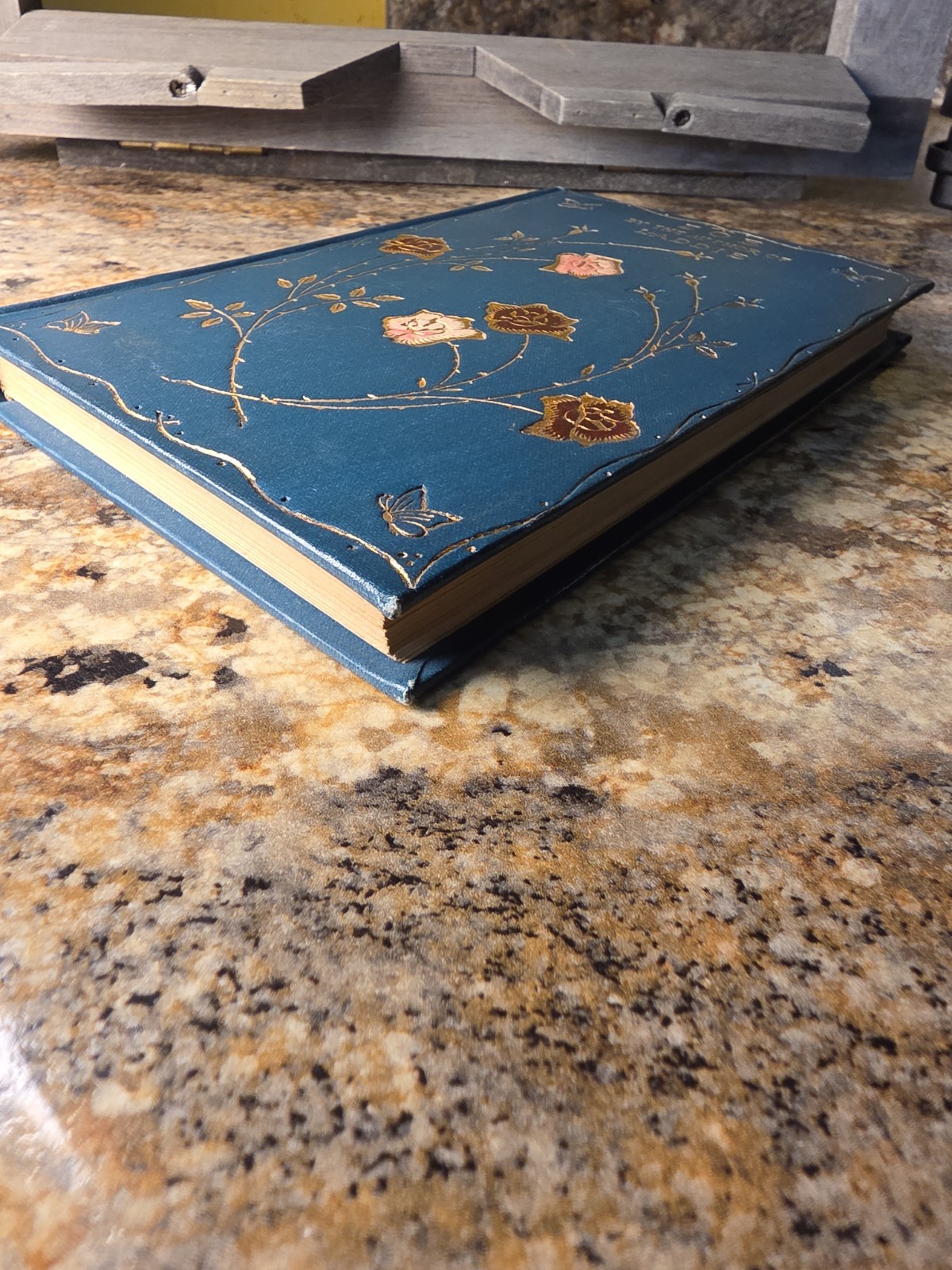 1899 Book: Zoe By The Author Of Laddie, Henry Altemus Co. By Evelyn Whitaker