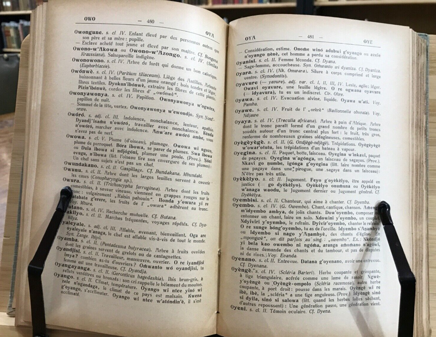 1934 Dictionnaire Mpongwe-Francais by Andre Raponda-Walker