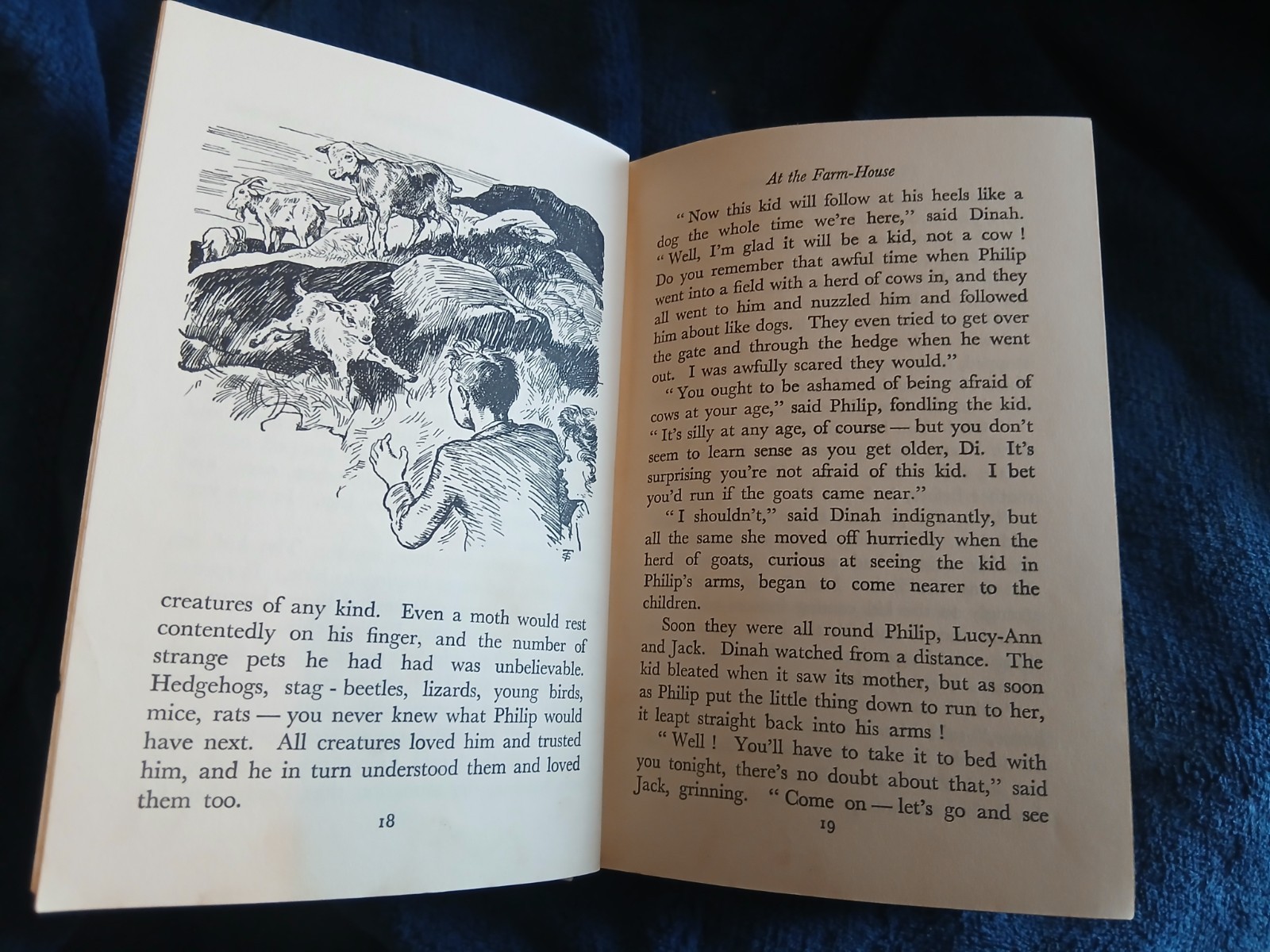 The Mountain Of Adventure Enid Blyton 1949 (36)