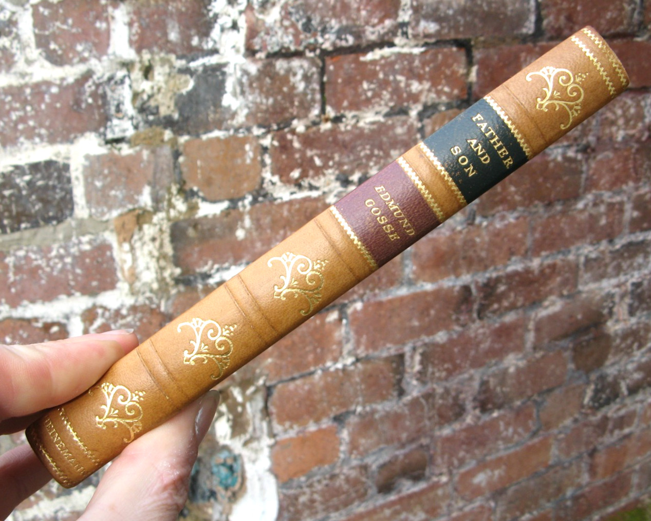 1935 Father and Son- Edmund Gosse leather fine binding