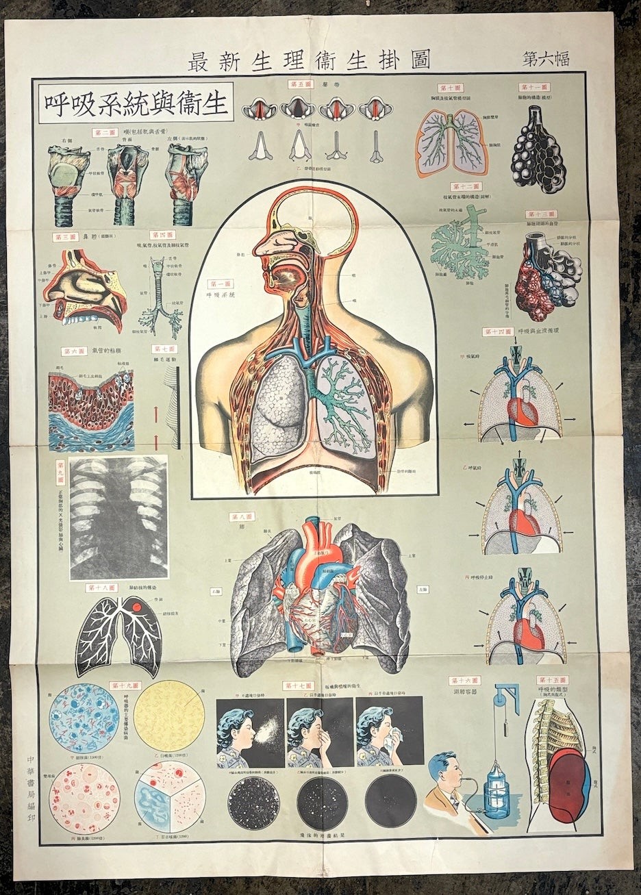 Set of 6 large color 1950s-60s Chinese health physiology & hygiene posters 1960