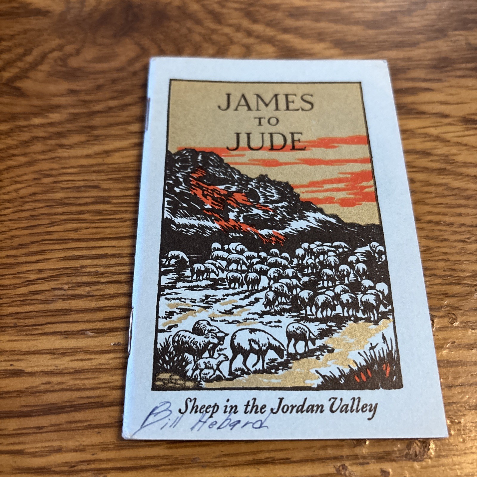 American Bible Society Romans Pocket Bible Book- James to Jude