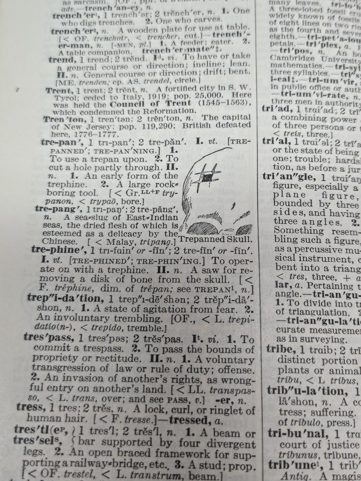 1925 Funk & Wagnalls Comprehensive Standard Dictionary Thumb Indexed Illustrated