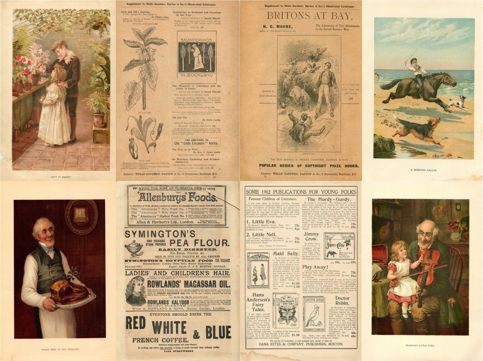 Chatterbox, Vol.4 (1898-1905) – Old Rare Illustrated Victorian Magazine on DVD