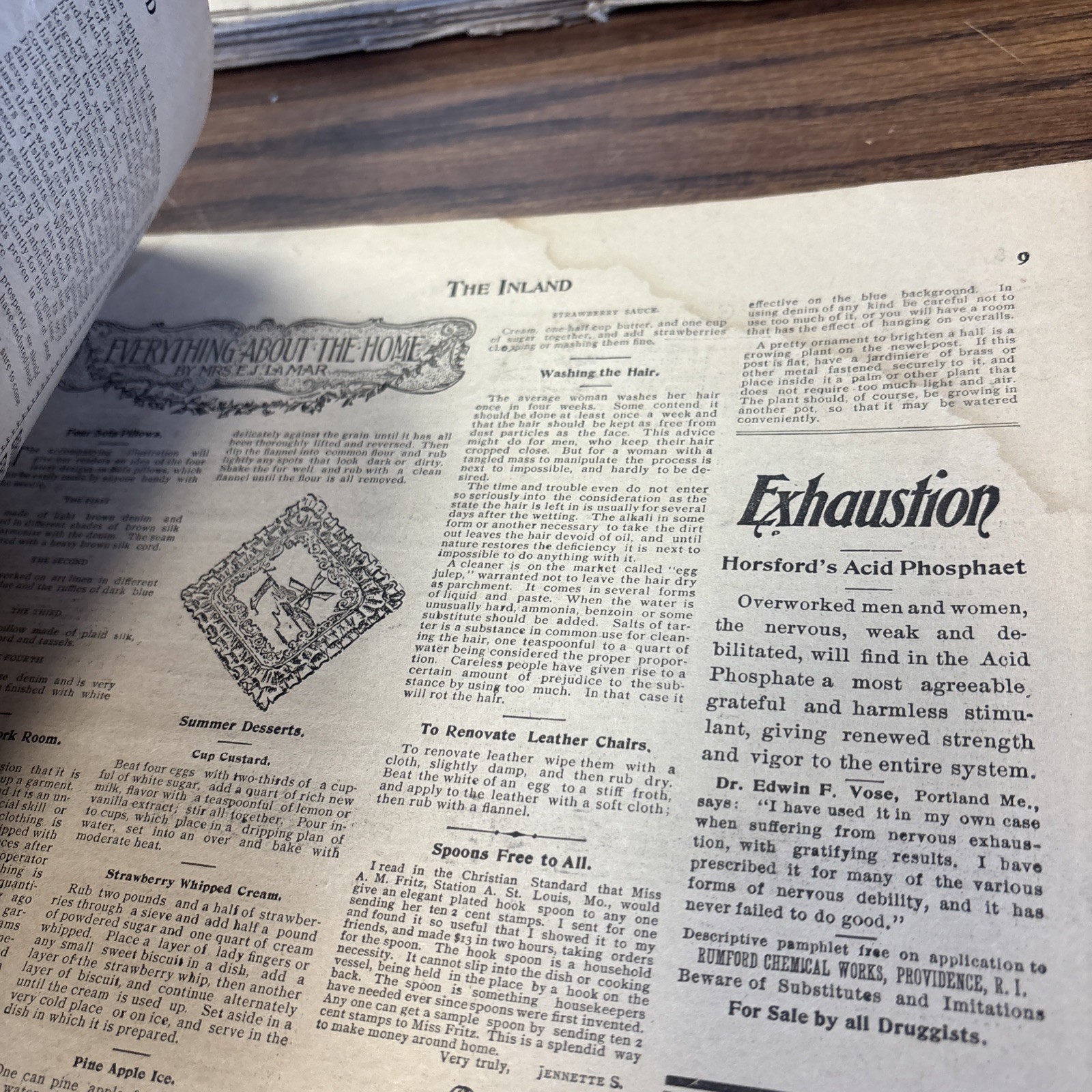 1896 The Inland Illustrated Christian Endeavor Monthly: Flower Mission Sketches
